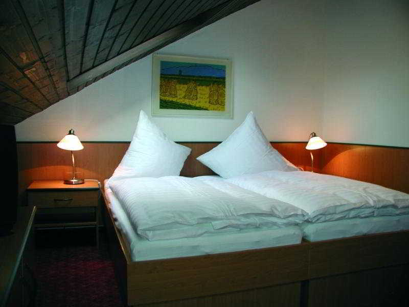Hotel Traube Offenbourg Extérieur photo